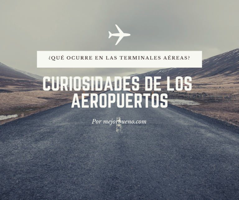 Curiosidades de los aeropuertos: ¿Qué ocurre en las terminales aéreas?